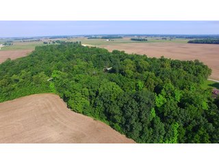 Whitley County, Indiana farmland - LAND AUCTION - 156+/- ACRES OFFERED IN 5 TRACTS IN WHITLEY COUNTY, INDIANA